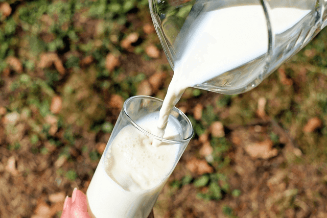 Custo de produção do leite cai pelo terceiro mês consecutivo, aponta Embrapa