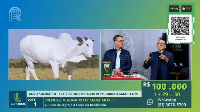 Prenhez da vaca mais cara do mundo é vendida por R$ 3 mi no Leilão Agro Solidário, com narração de Galvão Bueno