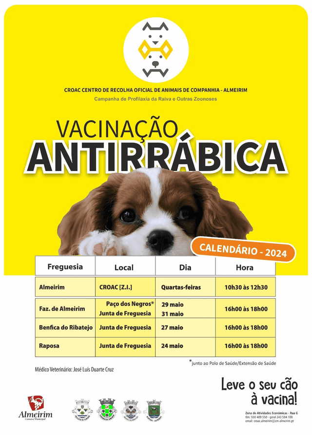 Almeirim lança campanha de vacinação antirrábica gratuita para cães