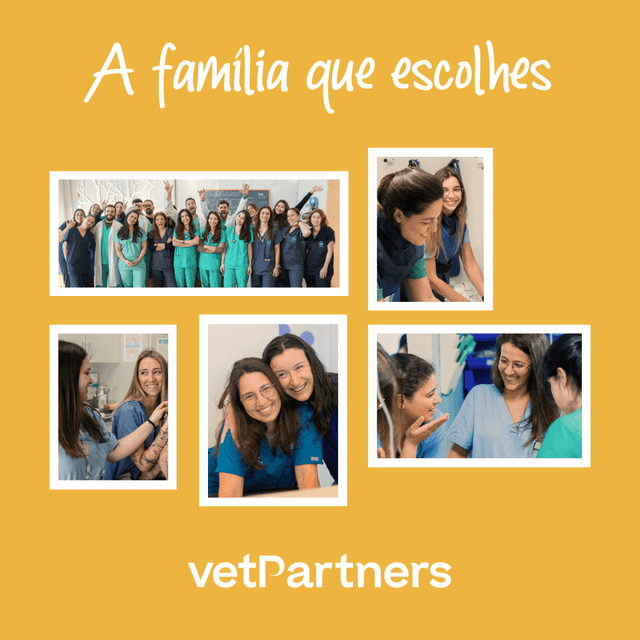 "A família que escolhes" é o novo claim da VetPartners para se posicionar no setor veterinário - Veterinaria Atual