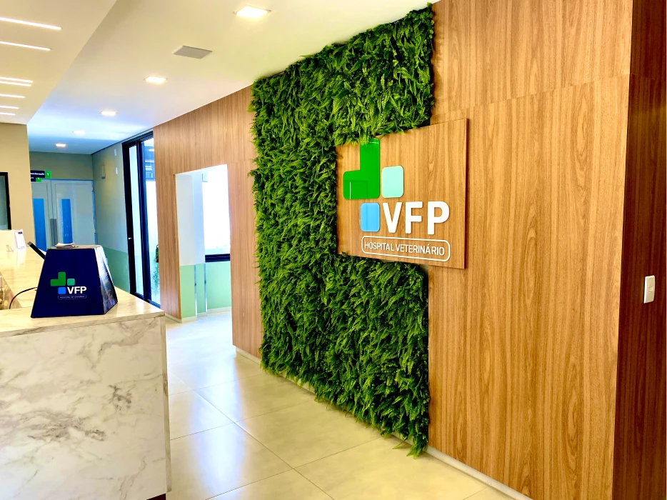 Tecnologia e inovação VFP