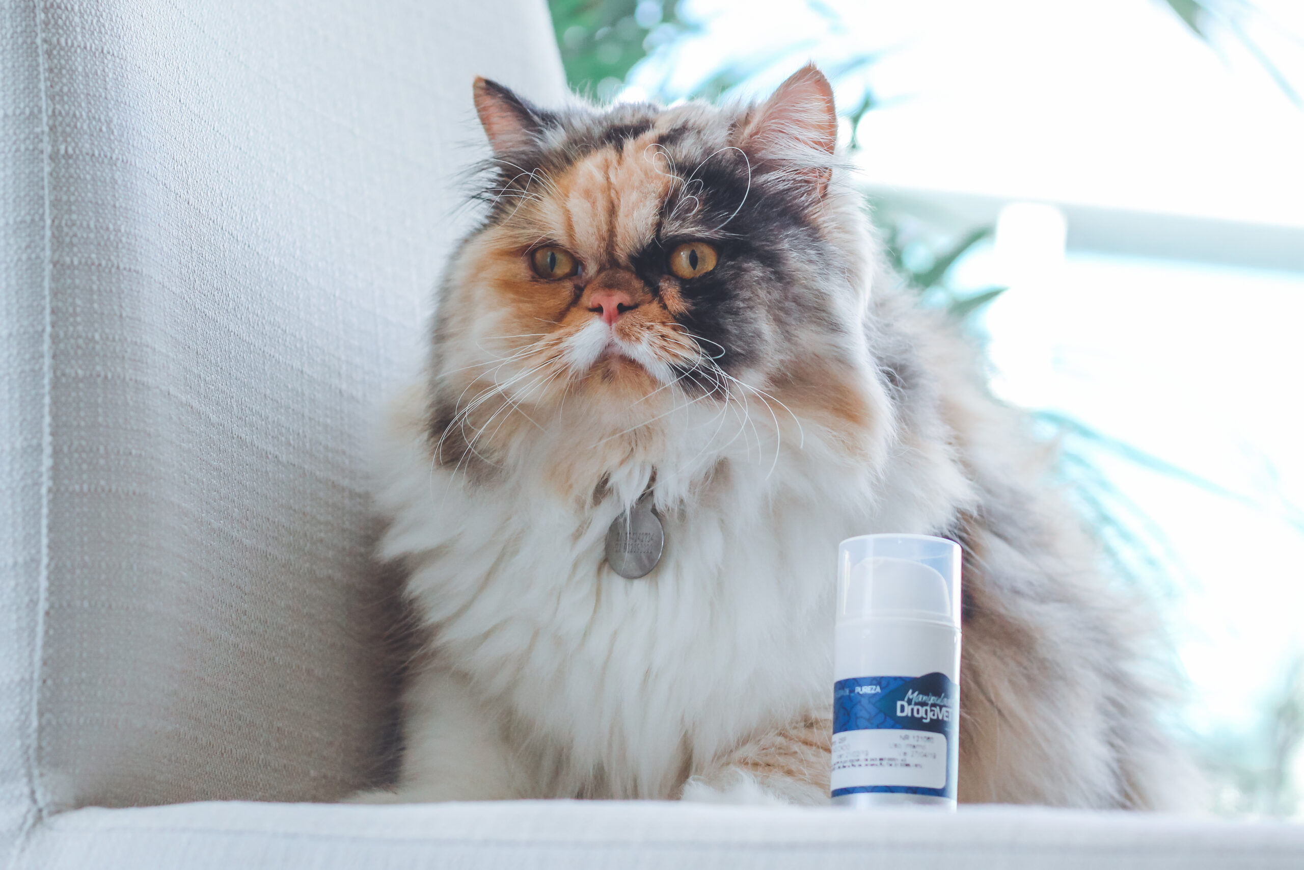 A-manipulacao-de-medicamentos-com-flavorizantes-e-uma-excelente-alternativa-para-o-longo-tratamento-da-esporotricose-Foto-Vitor-Zanfagnini