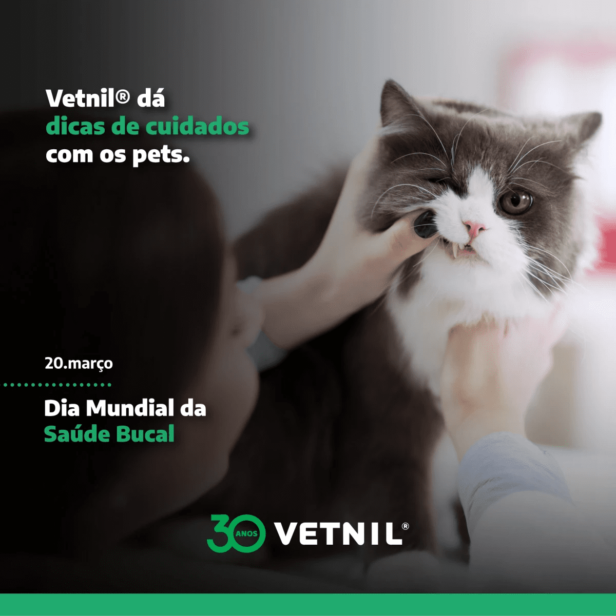 Dia Mundial da Saúde Bucal-vetnil