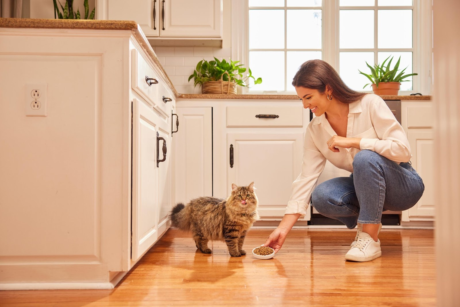 Nutrição-Animal-Royal-canin