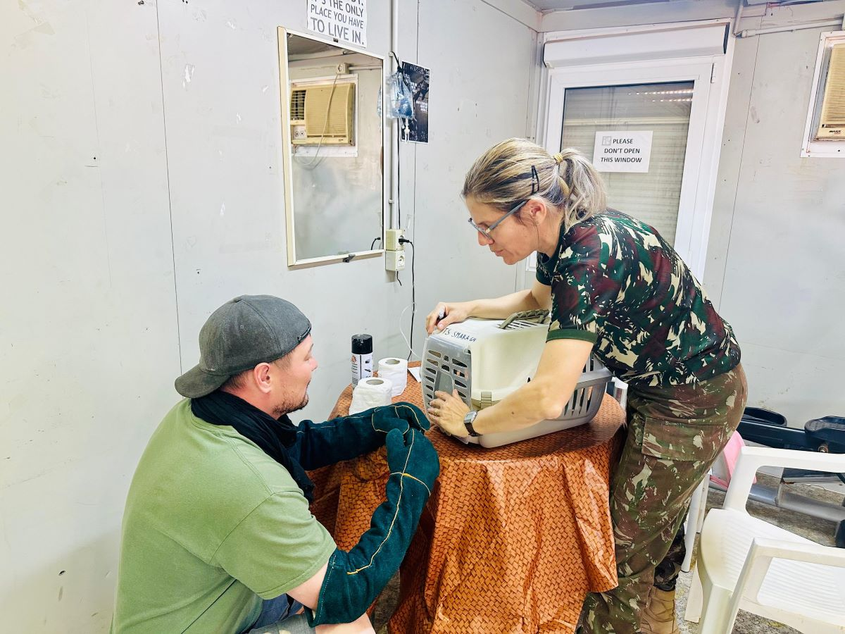 ONU Saara Veterinária Brasileira