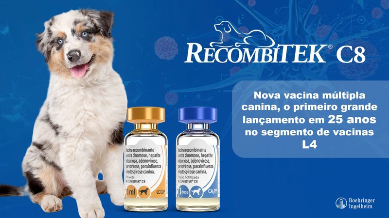 recombitek-leptospirose-canina