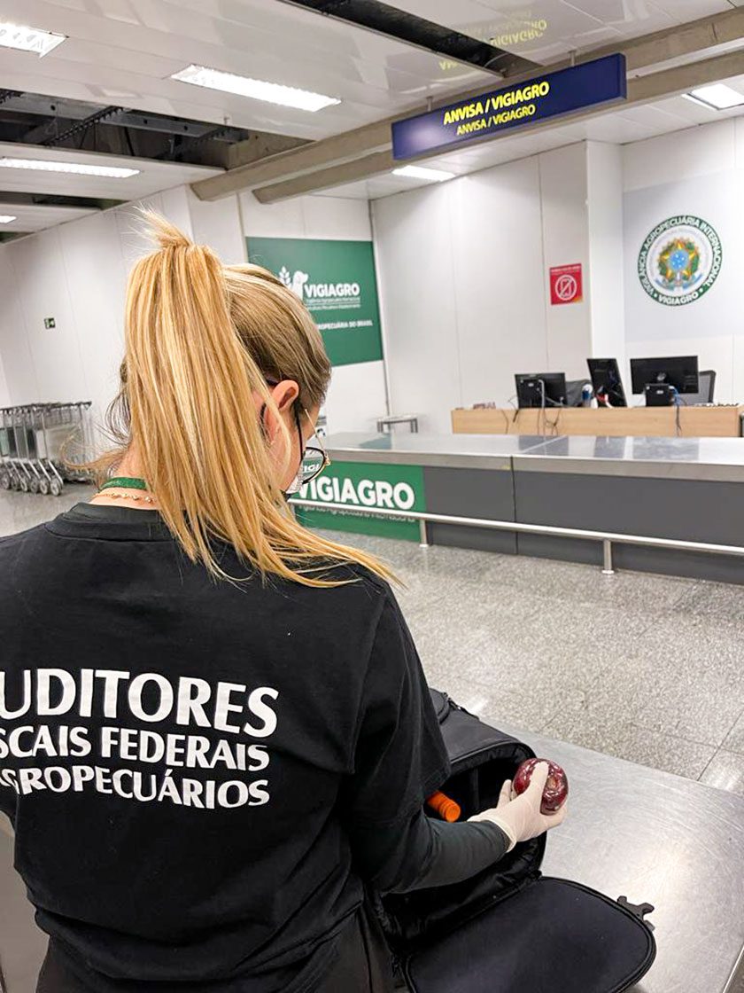 Auditores-Federais-Agropecuários-02