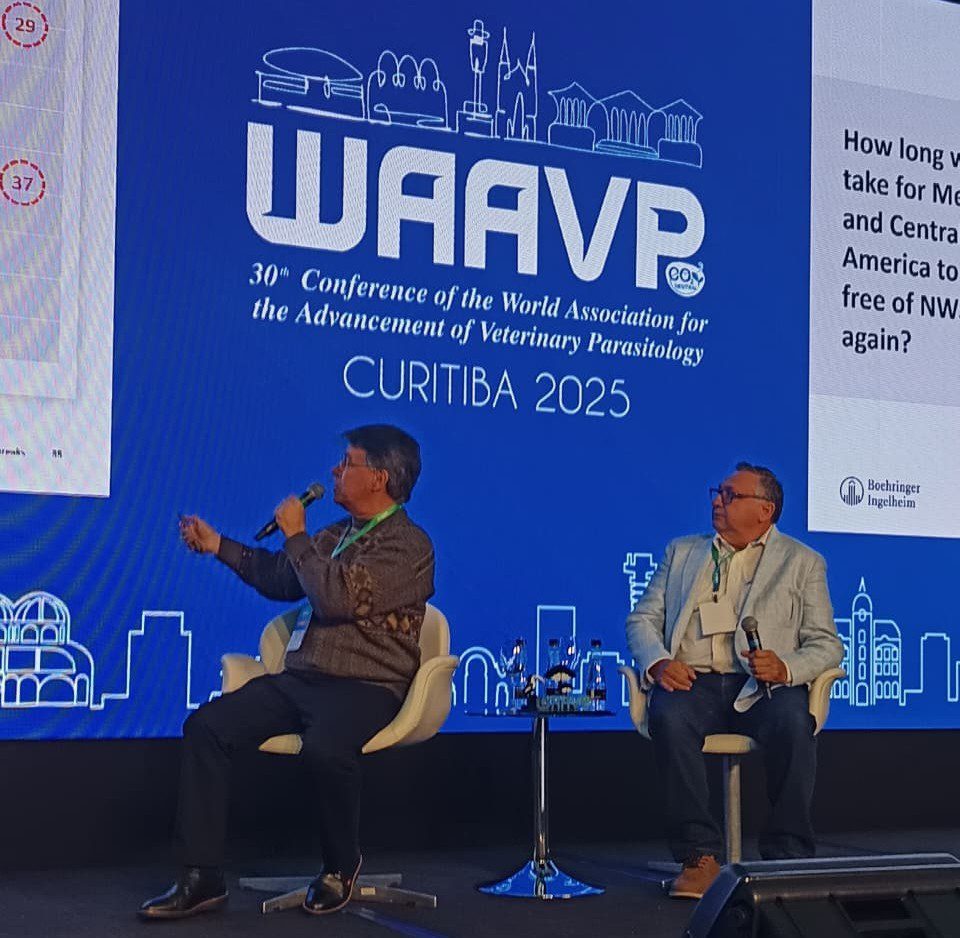 WAAVP_DESTAQUES