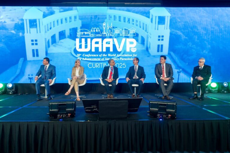 WAAVP DESTAQUES DIA 3