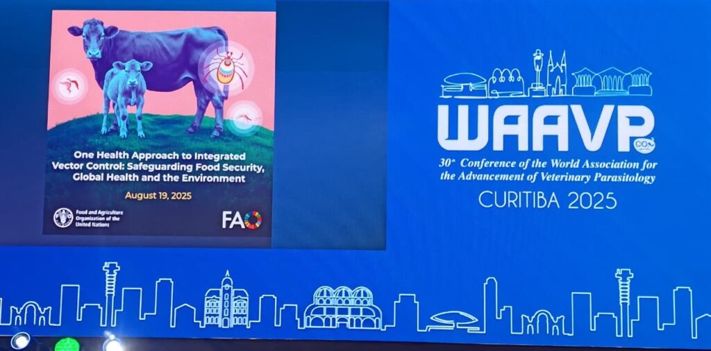 Destaques_WAAVP