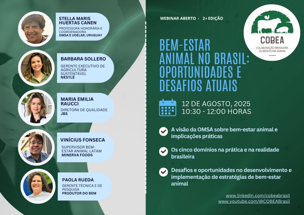 Webinar-flyer