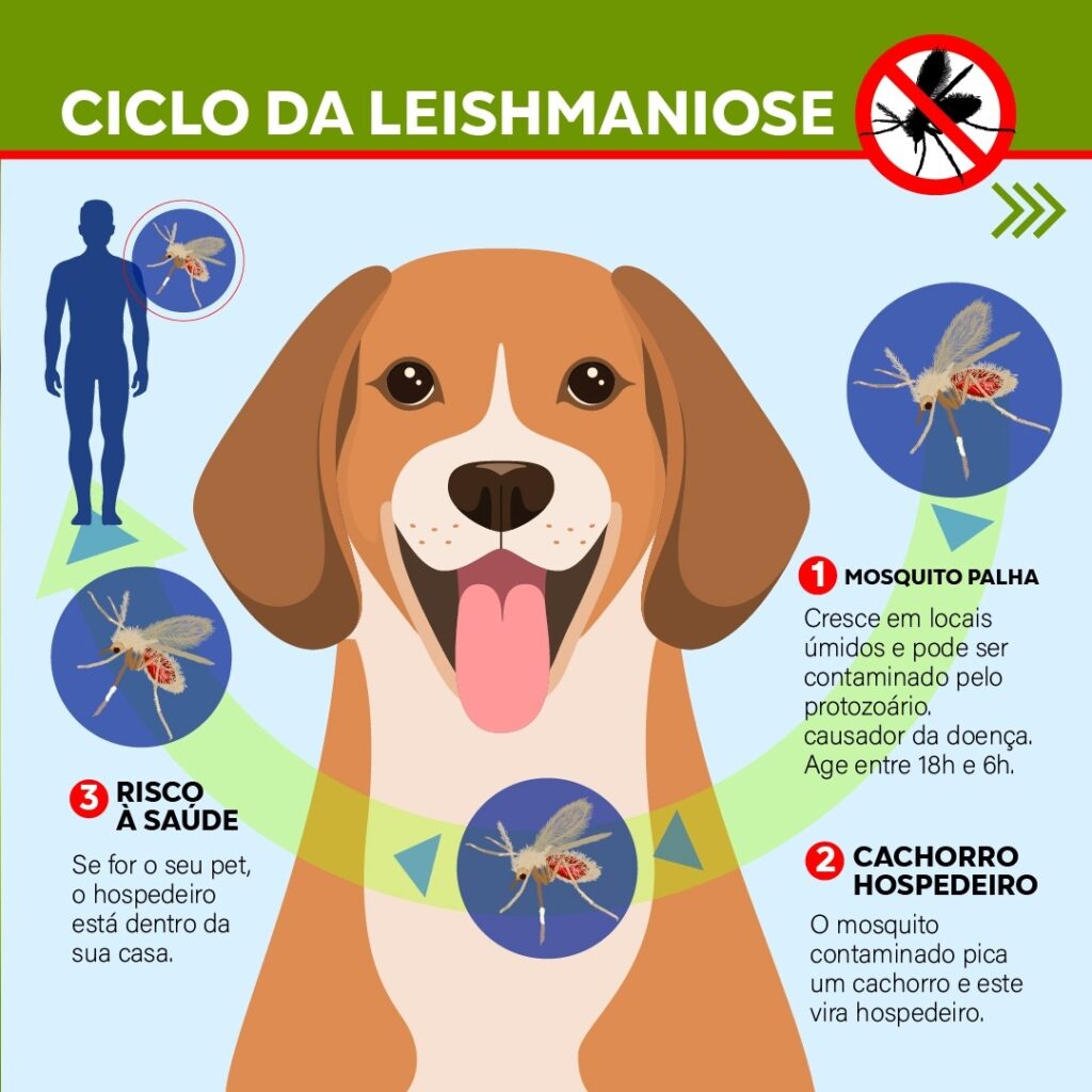 Diga Não à Leishmaniose
