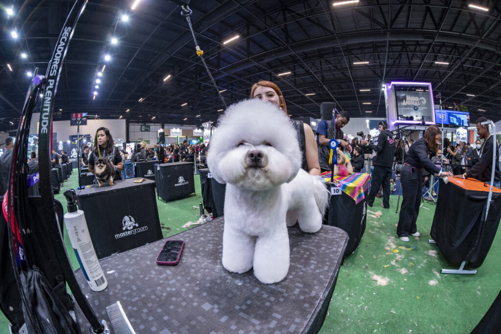 PET South America e PET VET 2025