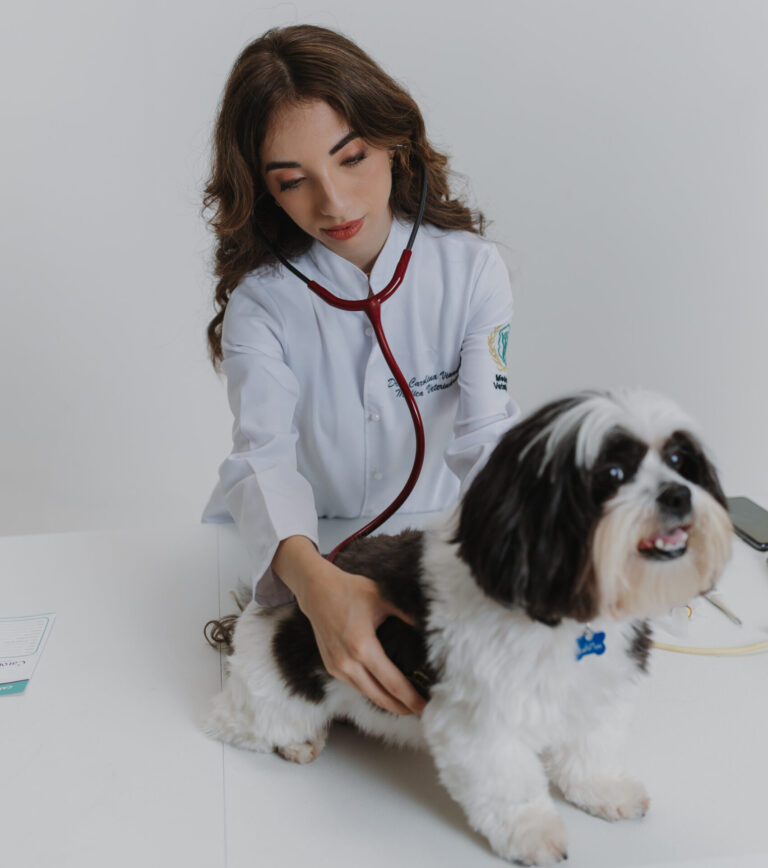 Atendimento veterinário domiciliar na baixada santista e região. Conheça a Dra Carolina Viana.