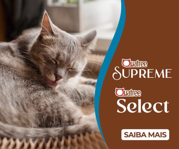 banner-quatree-supreme-select