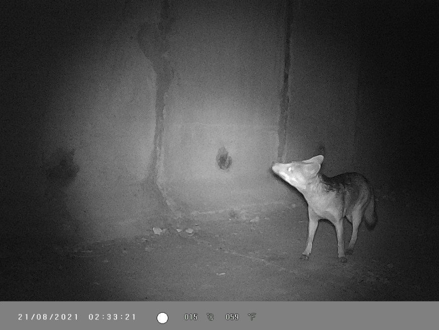 Proteção à biodiversidade garante o quinto selo de Aeroporto Verde ao BH Airport
