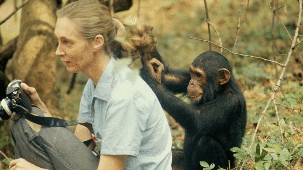 O legado de Jane Goodall