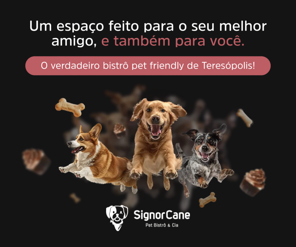 https://www.signorcane.com.br/