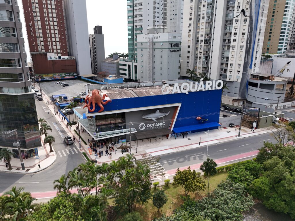 Aquário de Santa Catarina comemora seis anos e sorteia mergulho com tubarões