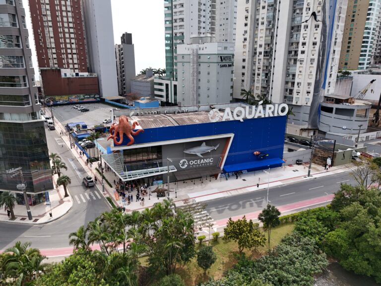 Aquário de Santa Catarina comemora seis anos e sorteia mergulho com tubarões