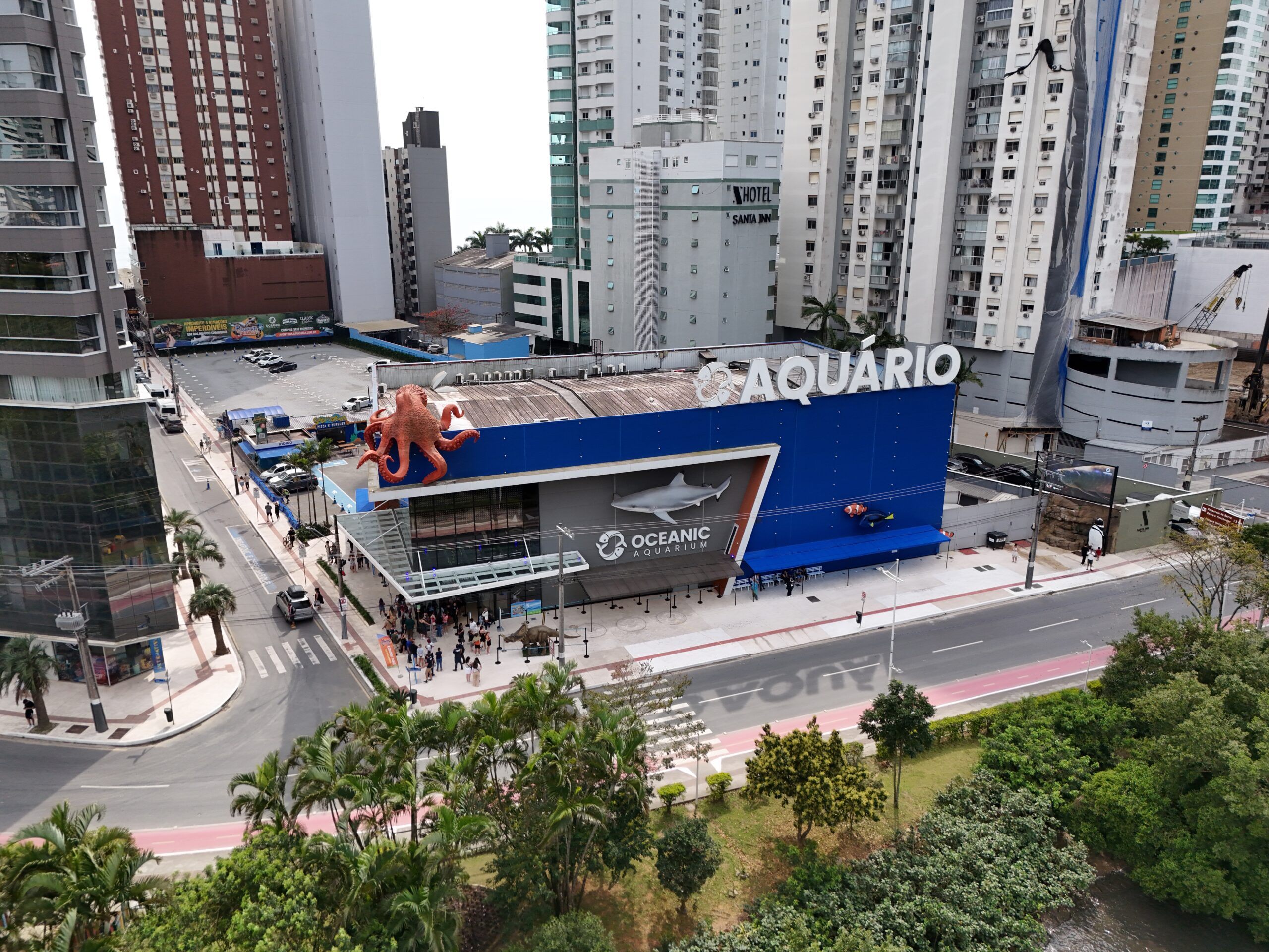 Aquário de Santa Catarina comemora seis anos e sorteia mergulho com tubarões