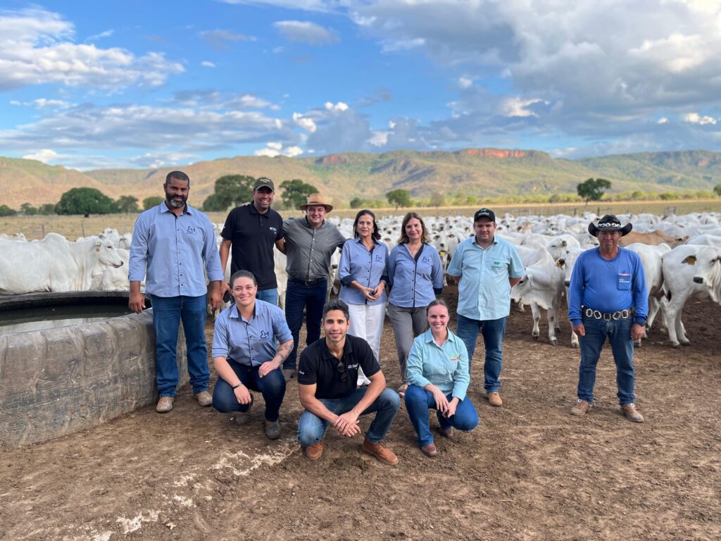 Programa estimula boas práticas na bovinocultura de corte