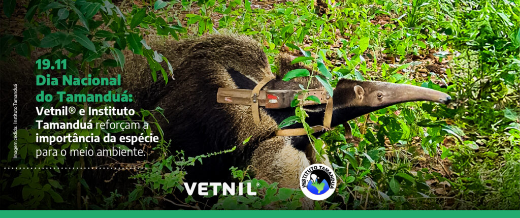 Dia Mundial do Tamanduá: Vetnil® reforça a importância da espécie e projeto desenvolvido por ONG parceira