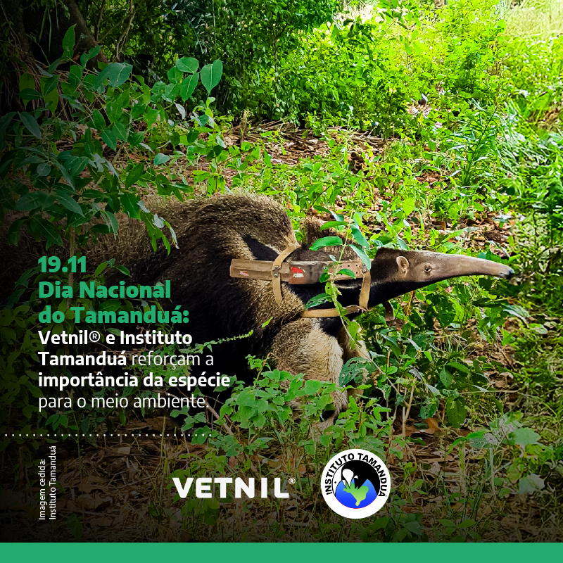 Dia Mundial do Tamanduá: Vetnil® reforça a importância da espécie e projeto desenvolvido por ONG parceira