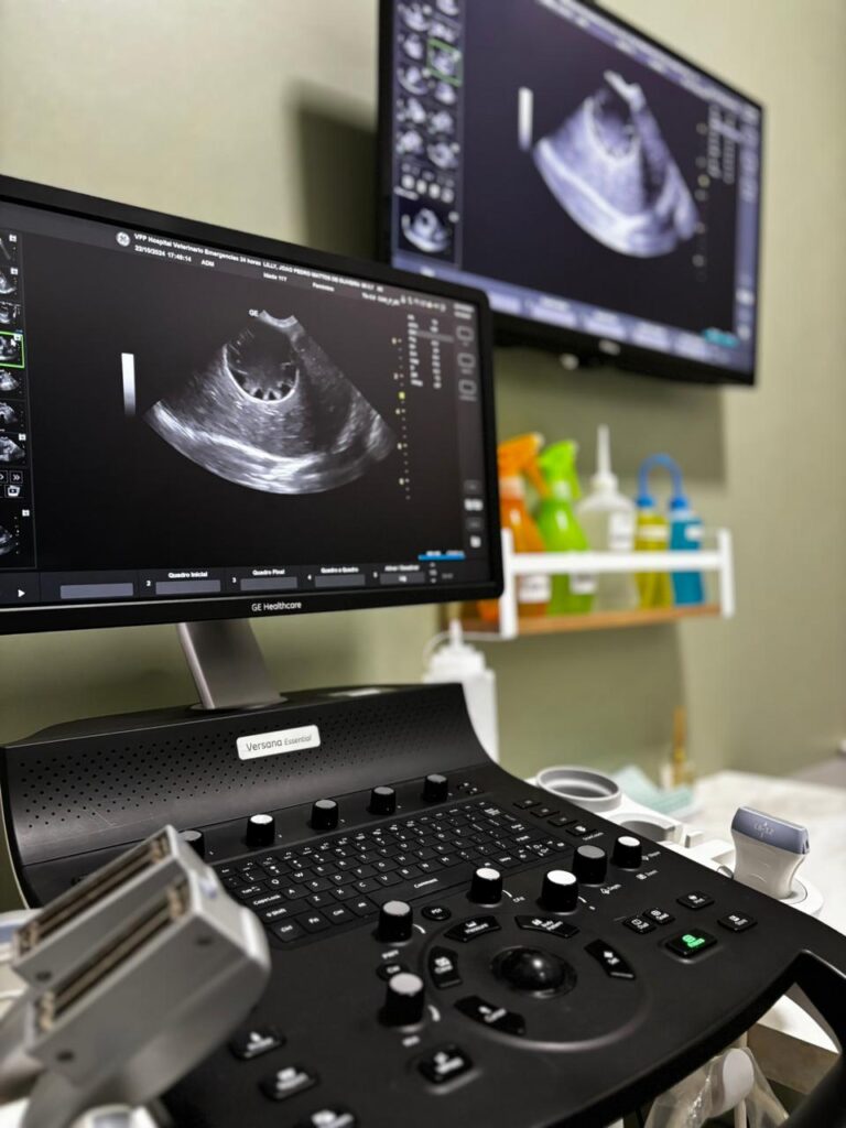 Rede de hospitais para pets, VFP, investe em gestão hospitalar e padronização de processos