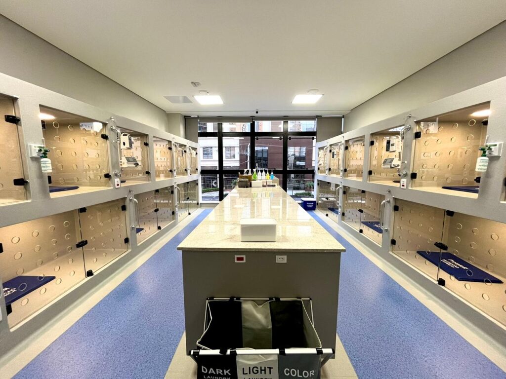 Rede de hospitais para pets, VFP, investe em gestão hospitalar e padronização de processos