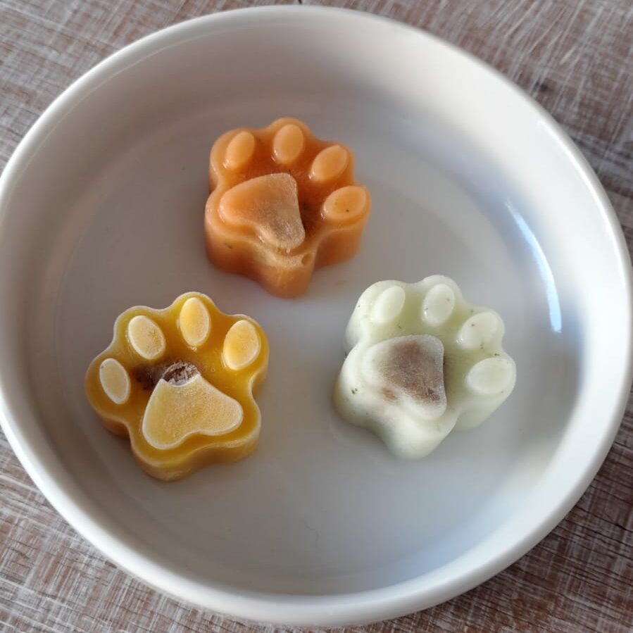 Teresópolis? Conheça o SignorCane Bistrô, o melhor espaço pet friendly da cidade