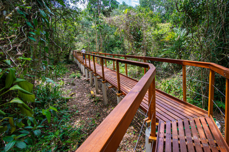 Parque Nacional do Superagui inaugura primeira trilha para ciclistas e caminhantes após investimento de R$ 2 milhões