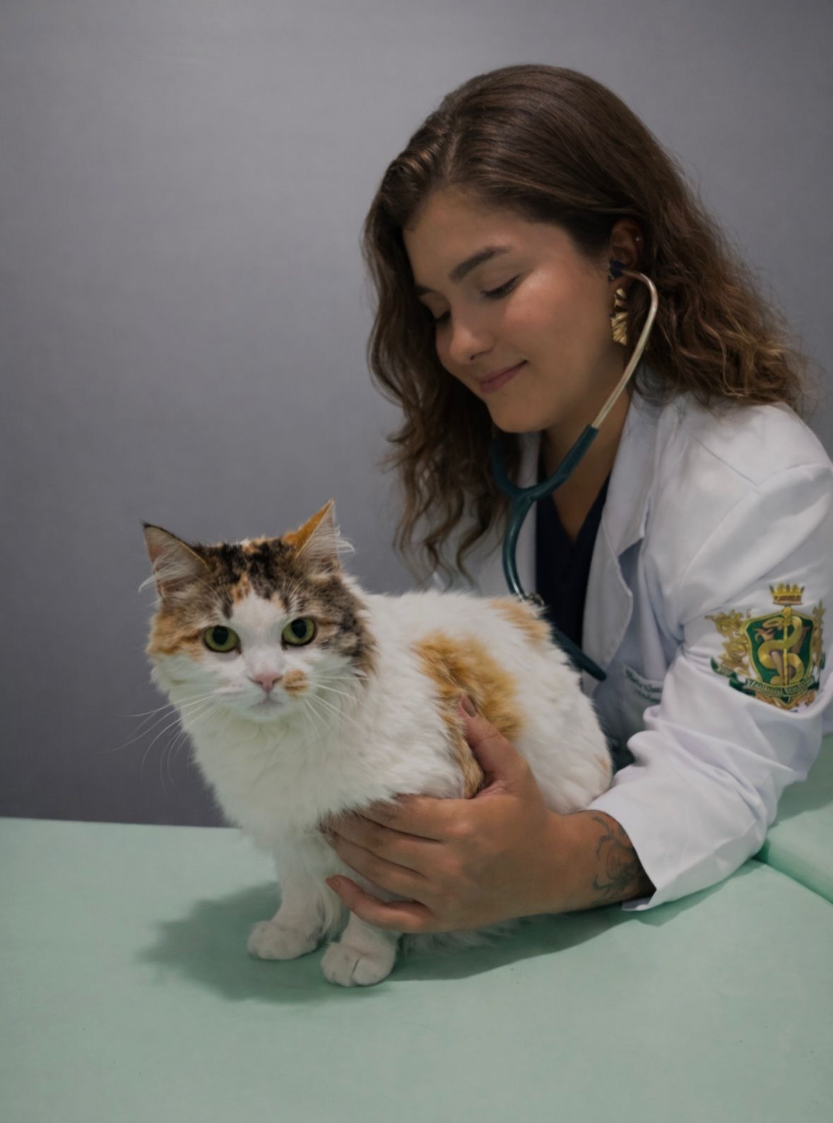 Dra. Maria Clara Moura Duarte aposta no atendimento veterinário domiciliar humanizado e no cuidado contínuo de pequenos animais na Grande BH