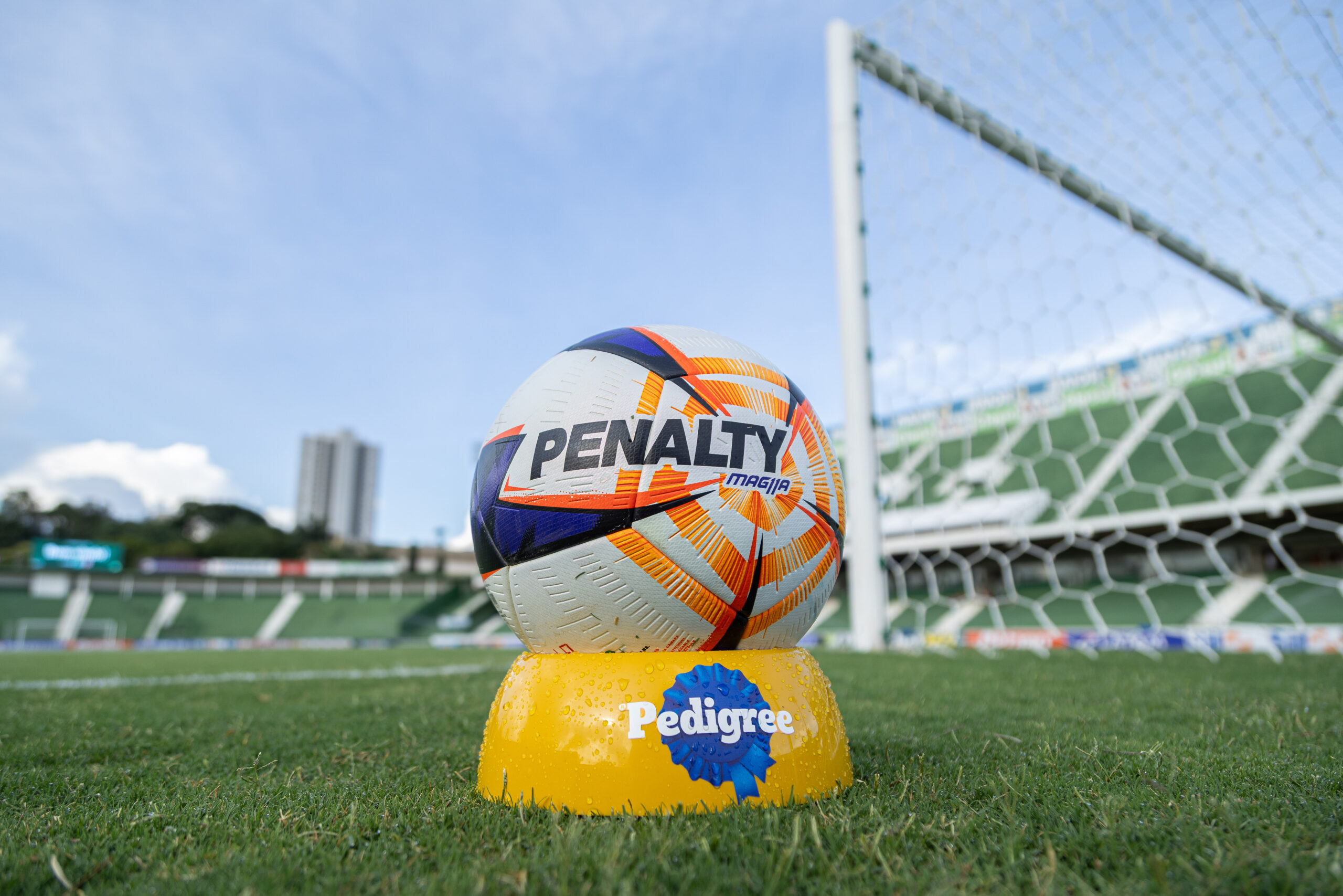 PEDIGREE e DREAMIES patrocinam o Paulistão Casas Bahia 2026 com ações inéditas em campo