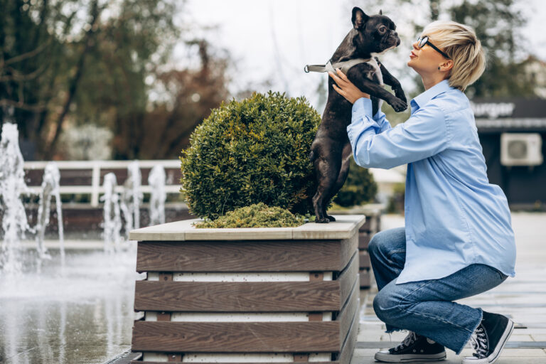 Nova lei sobre sepultamento de pets em jazigos familiares: mais do que uma mudança administrativa, é um gesto de reconhecimento