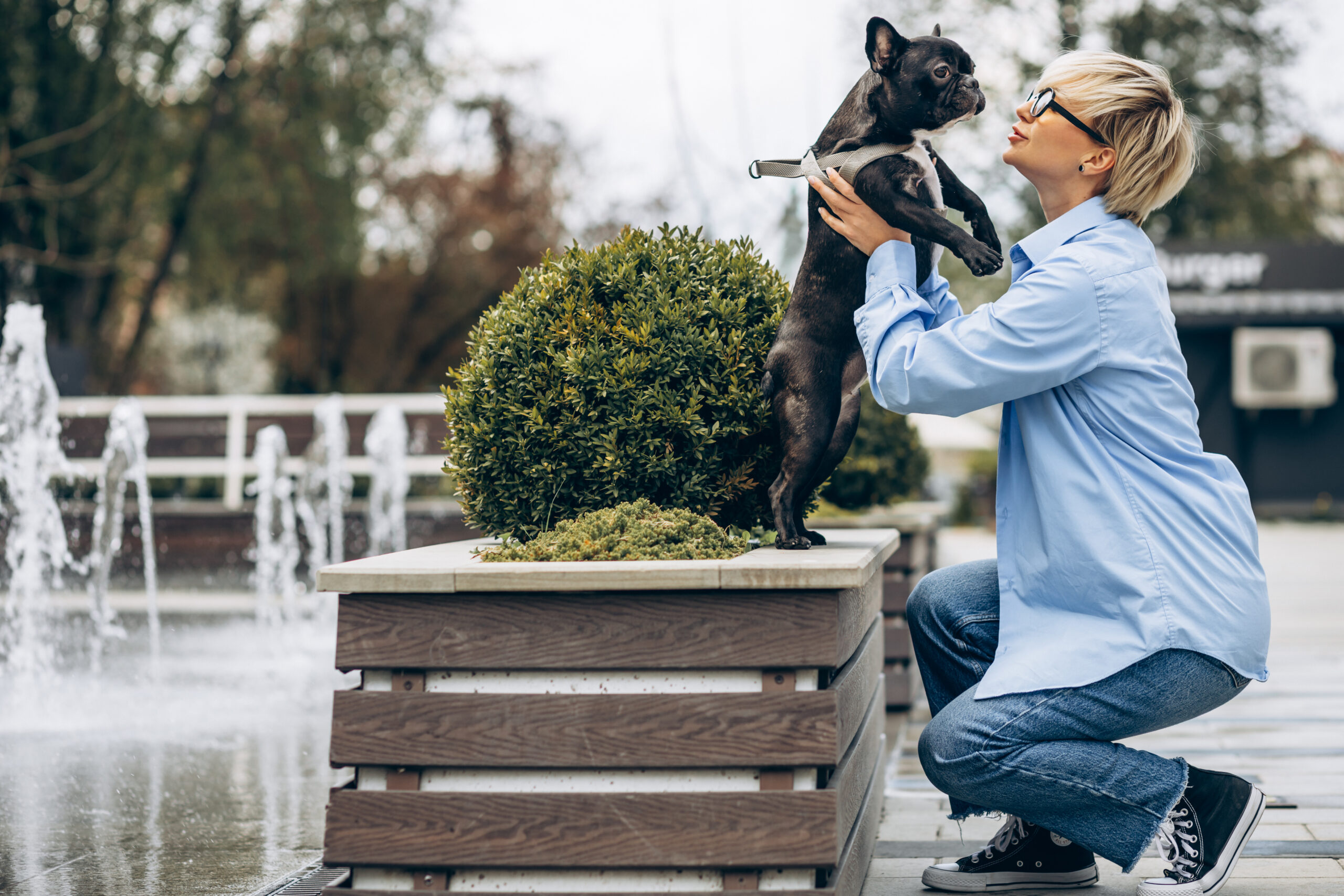 Nova lei sobre sepultamento de pets em jazigos familiares: mais do que uma mudança administrativa, é um gesto de reconhecimento