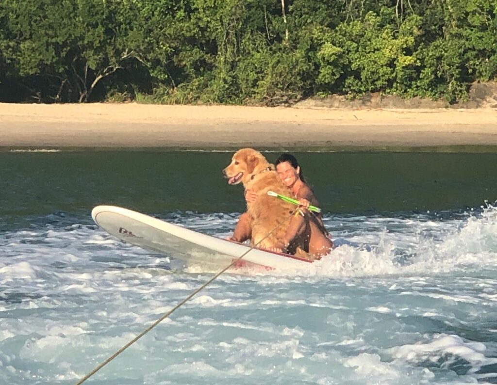 Com o setor pet no Brasil na liderança global, mercado náutico se adapta para atender animais de estimação