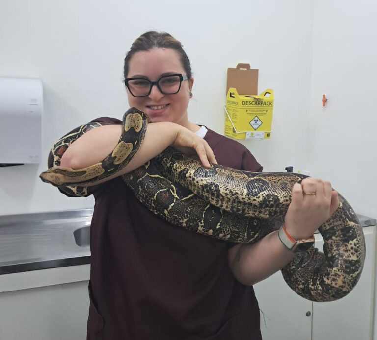 Dra. Bruna Pereira: uma profissional a caminho de se tornar uma referência na Medicina Veterinária de animais silvestres e pets exóticos.