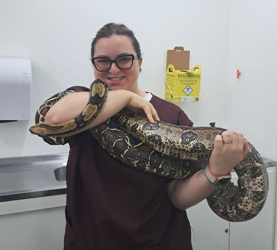 Dra. Bruna Pereira: uma profissional a caminho de se tornar uma referência na Medicina Veterinária de animais silvestres e pets exóticos.