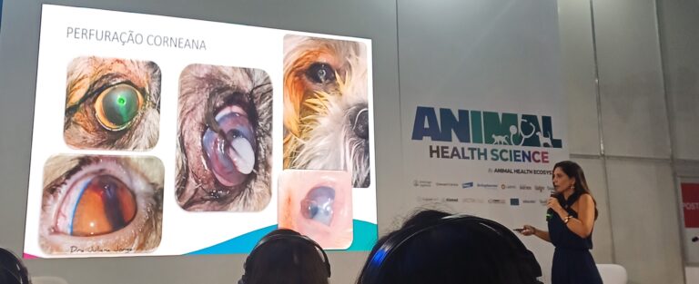 Durante a programação de oftalmologia do Animal Health Expo 2026, a Dra. Juliana Jorge discutiu os principais fatores que determinam o sucesso no tratamento clínico das ceratites ulcerativas em cães e gatos, destacando a rápida progressão dessas lesões, a necessidade de diagnóstico preciso e a importância de protocolos terapêuticos bem definidos conforme a profundidade e a gravidade da úlcera.