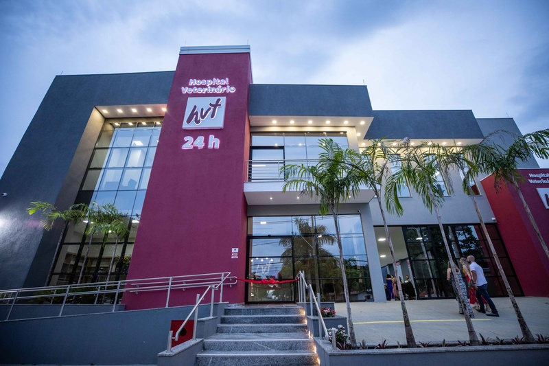 Crescimento de pets não convencionais expõe erros comuns de manejo