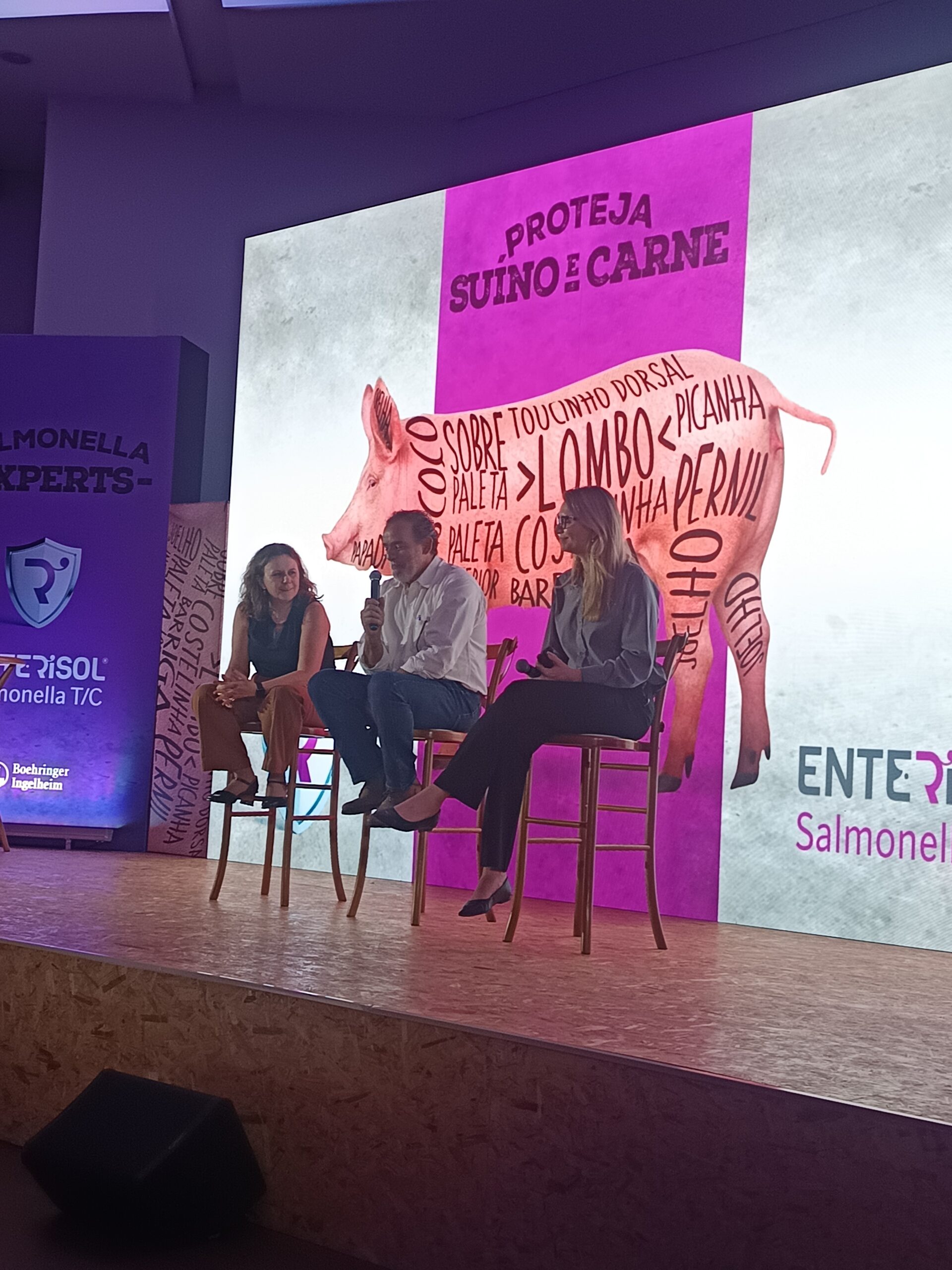 Salmonella na suinocultura: “não é uma doença, é um ecossistema dentro da granja”, alerta especialista