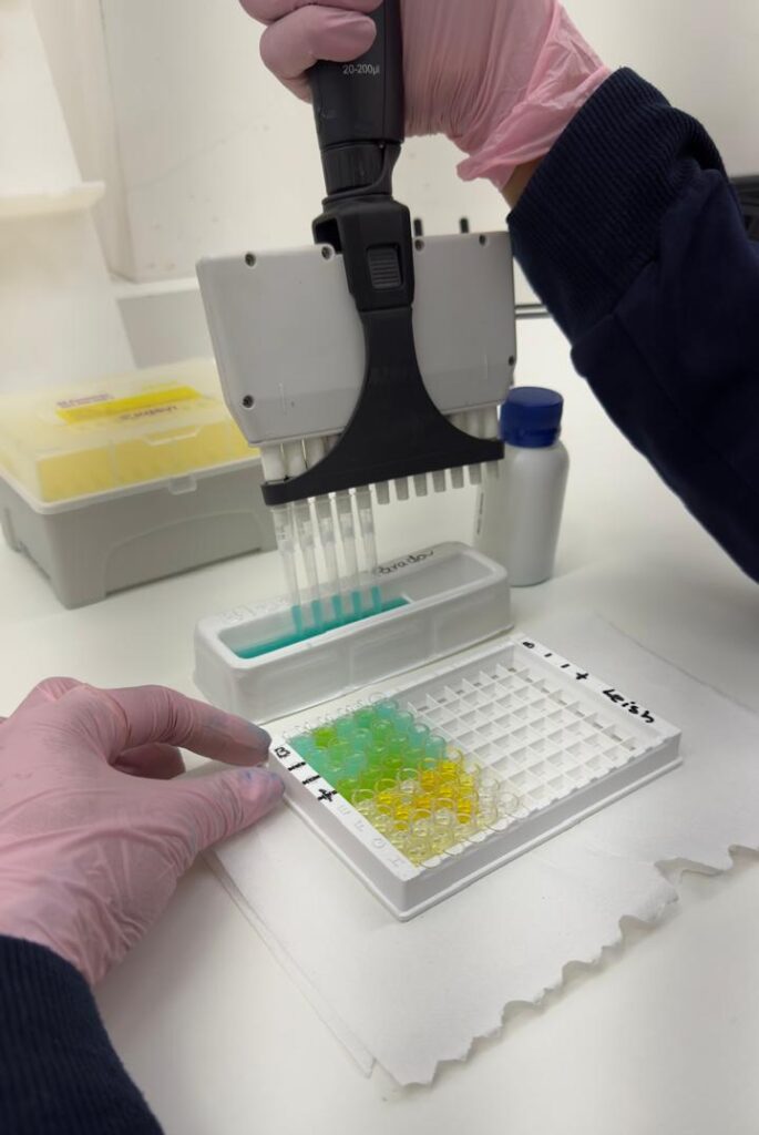 Devetis: laboratório veterinário em Ipatinga fortalece diagnóstico clínico no Vale do Aço (MG)