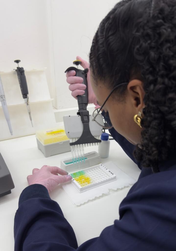 Devetis: laboratório veterinário em Ipatinga fortalece diagnóstico clínico no Vale do Aço (MG)