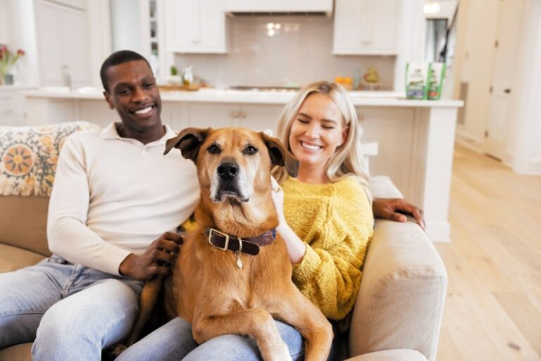 Animais em contextos terapêuticos: ciência explica o impacto da interação humano-animal no cuidado e no desenvolvimento humano