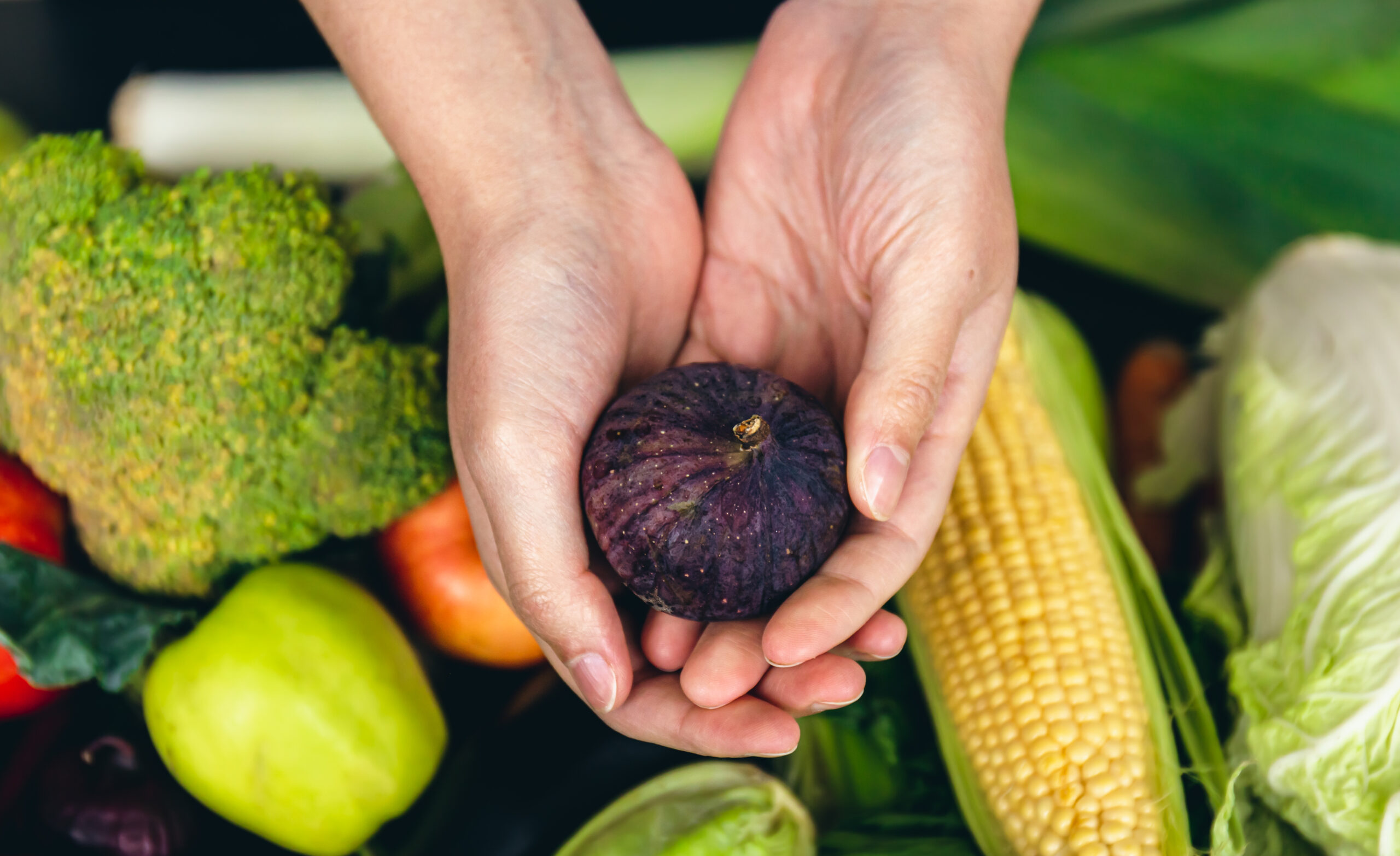 Contrabando e fraudes alimentares elevam pressão sobre a fiscalização e levam proteção agropecuária à pauta da segurança pública