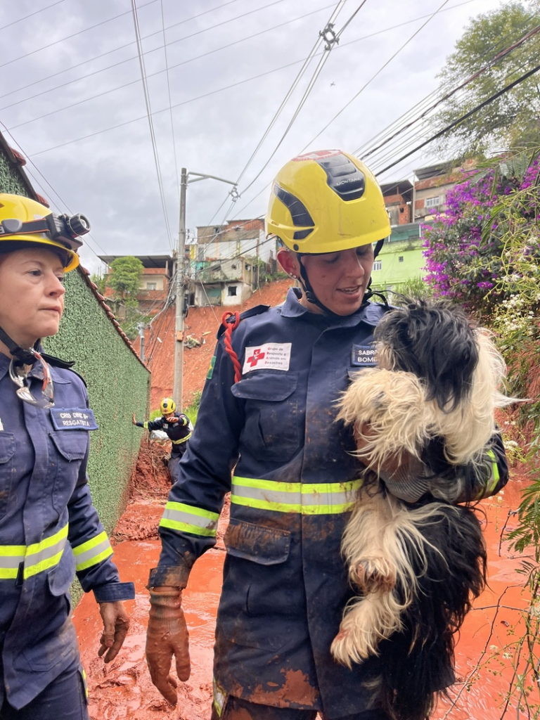  Instituto Caramelo apoia resgate de animais afetados pelas chuvas em Juiz de Fora (MG)
