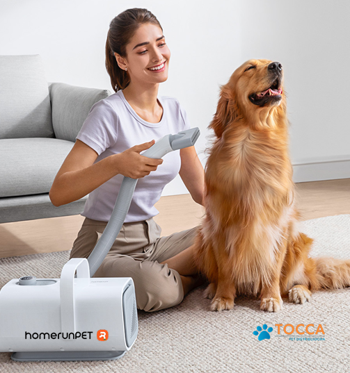 Distribuído no Brasil pela Tocca Pet, o soprador silencioso premium para pet shops e clínicas veterinárias reúne baixo ruído, 99 velocidades de vento, ajuste de temperatura, íons negativos e diferentes bocais para a secagem de cães e gatos.