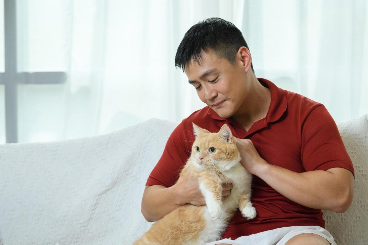 Vacinação felina com Purevax da Boehringer Ingelheim amplia a proteção para gatos, incluindo FeLV, e reforça protocolos individualizados na prática clínica.