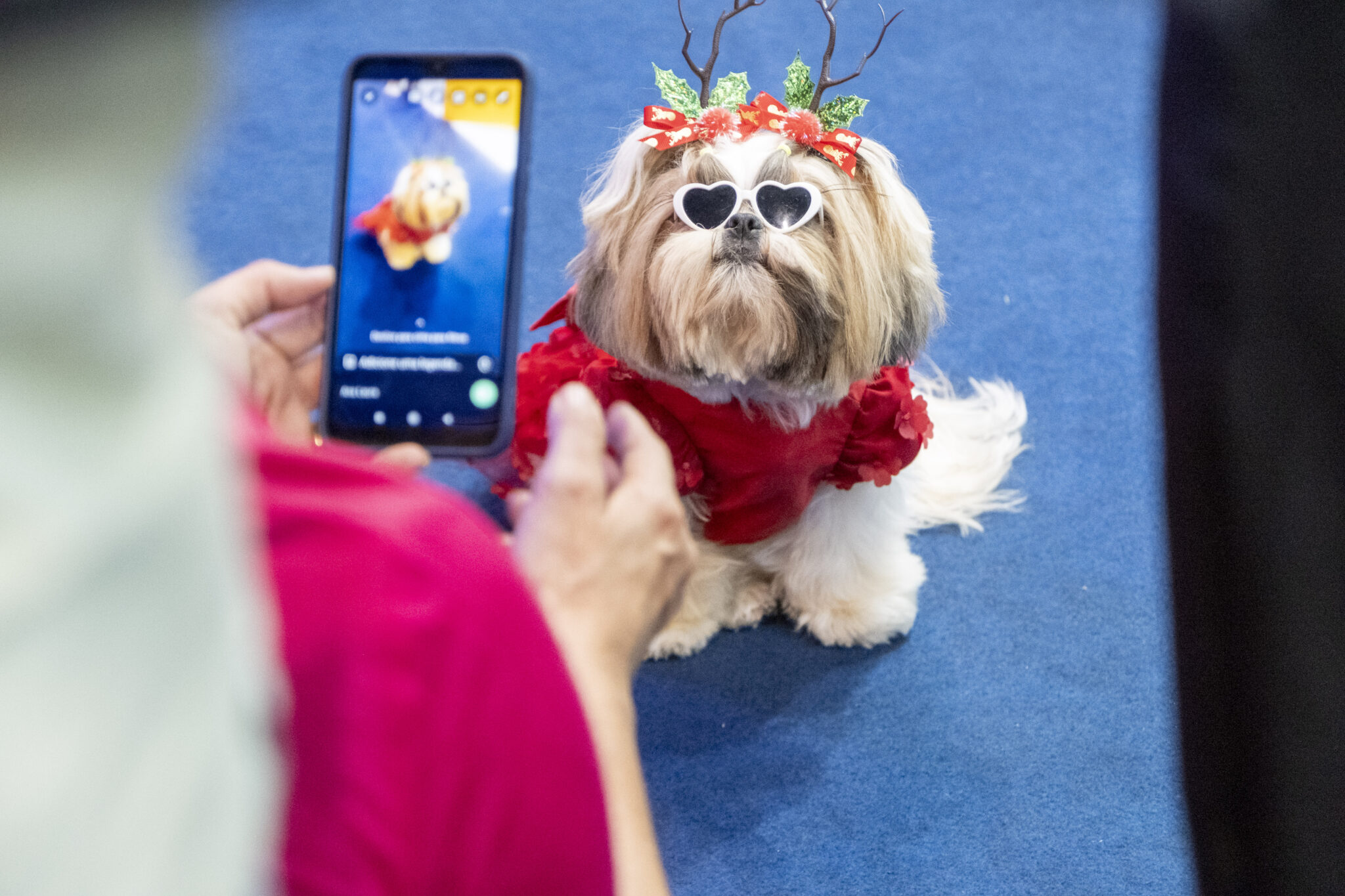 PET VET Expo 2026